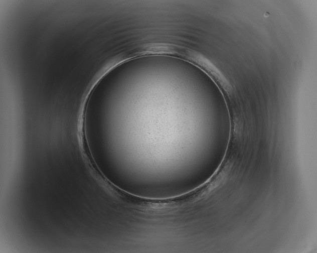 X0000102311378200808011414