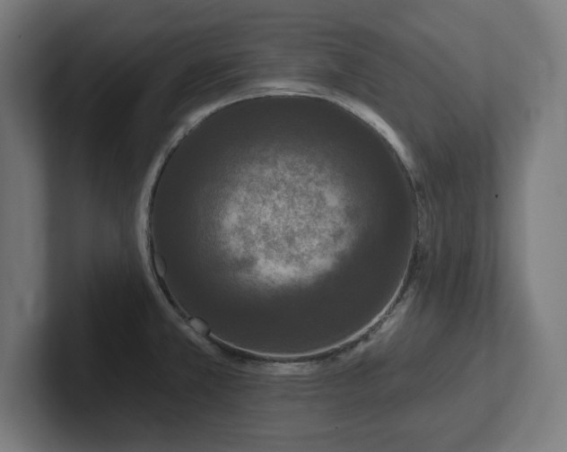 X0000102311381200808011414