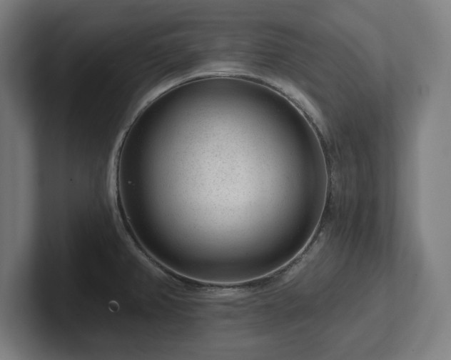 X0000102311382200808011414