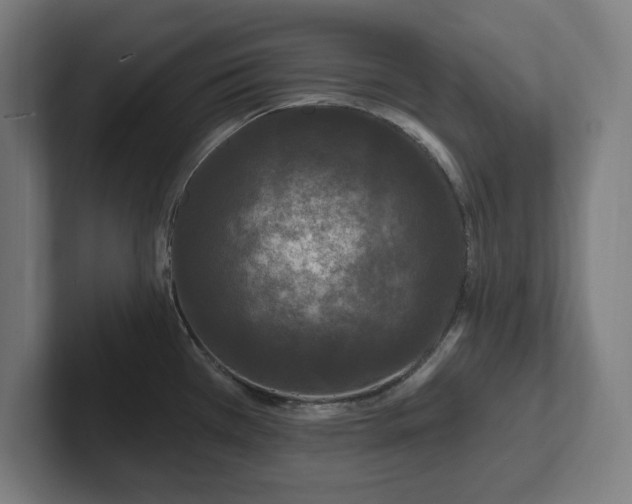 X0000102311385200808011414