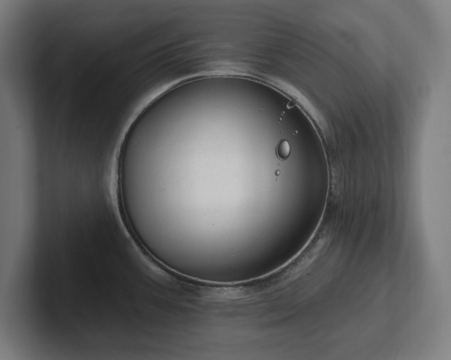 X0000102311387200808011414