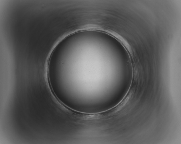 X0000102311390200808011414