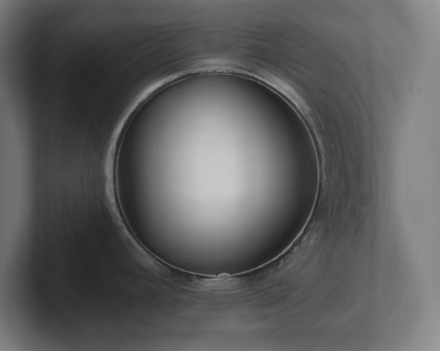 X0000102311392200808011414