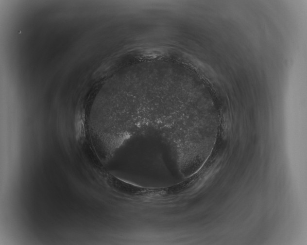 X0000102311394200808011413