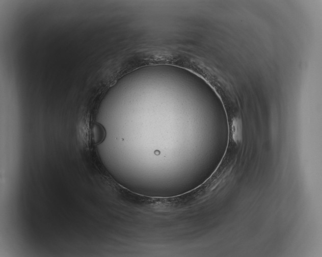 X0000102311395200808011413