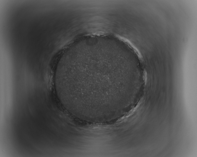 X0000102311399200808011413