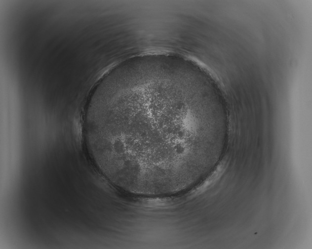 X0000102311401200808011413