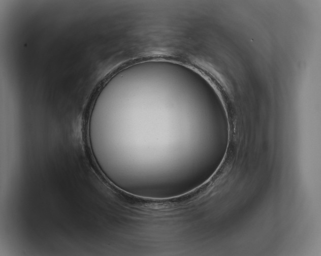 X0000102311404200808011413