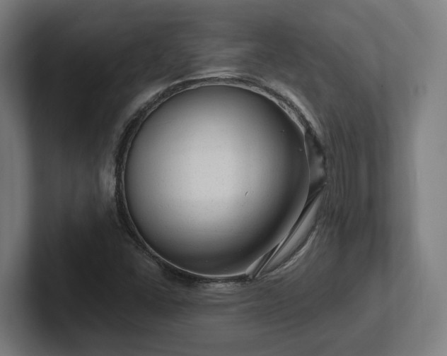 X0000102311406200808011413