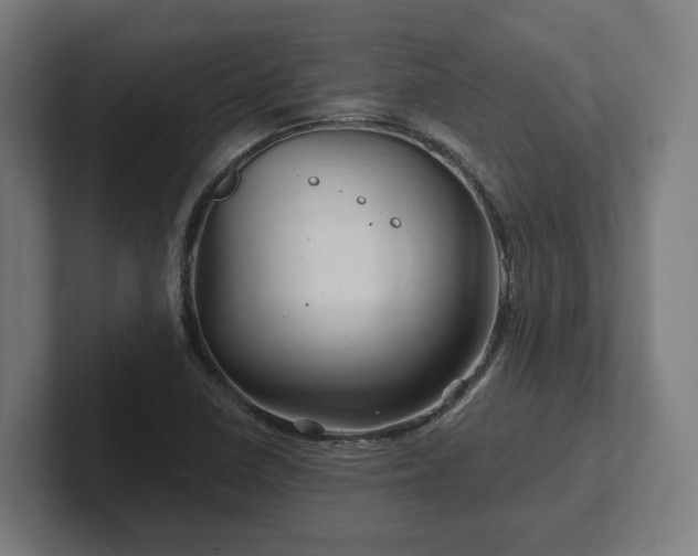 X0000102311410200808011413