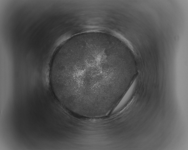 X0000102311411200808011413