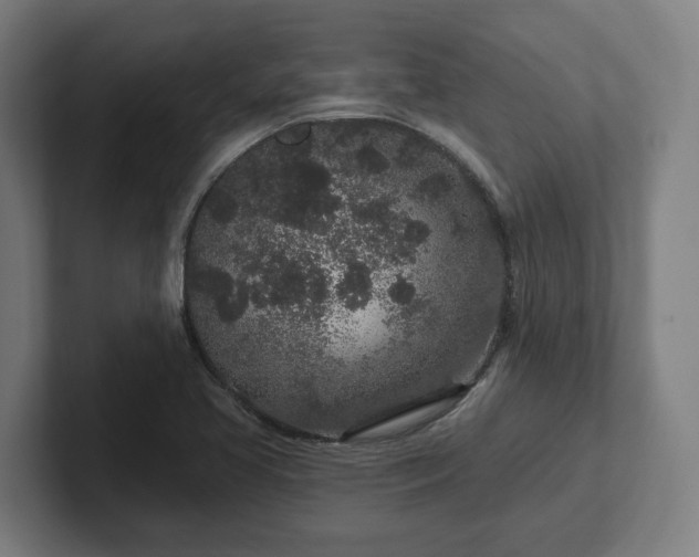 X0000102311413200808011413