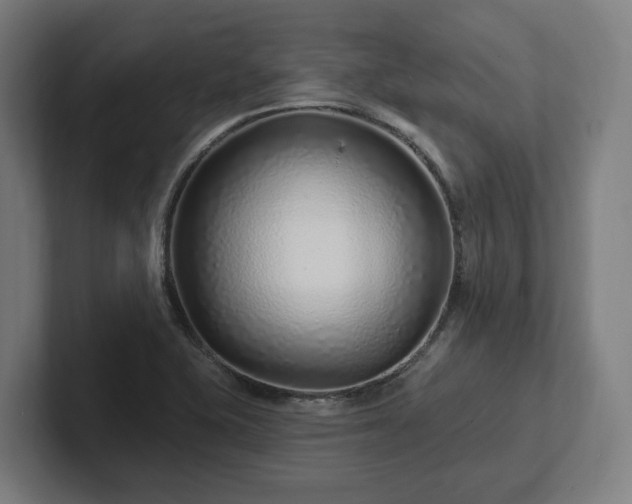 X0000102311415200808011413