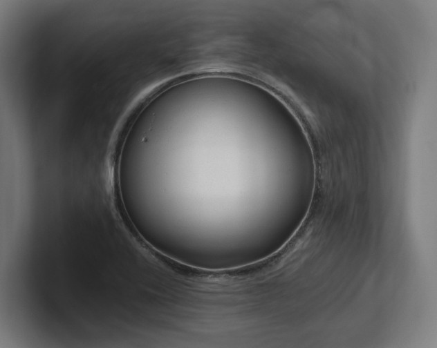 X0000102311416200808011413