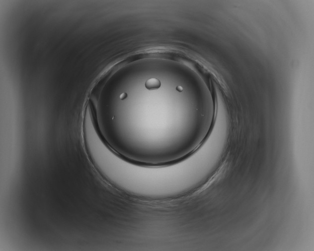 X0000102311417200808011413