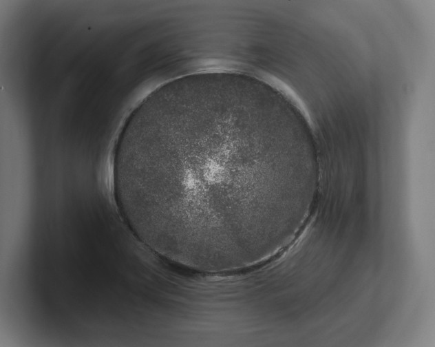 X0000102311419200808011414