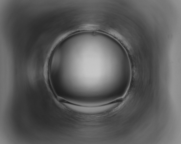 X0000102311421200808011414