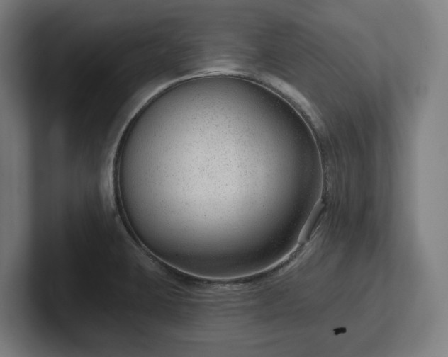 X0000102311423200808011414