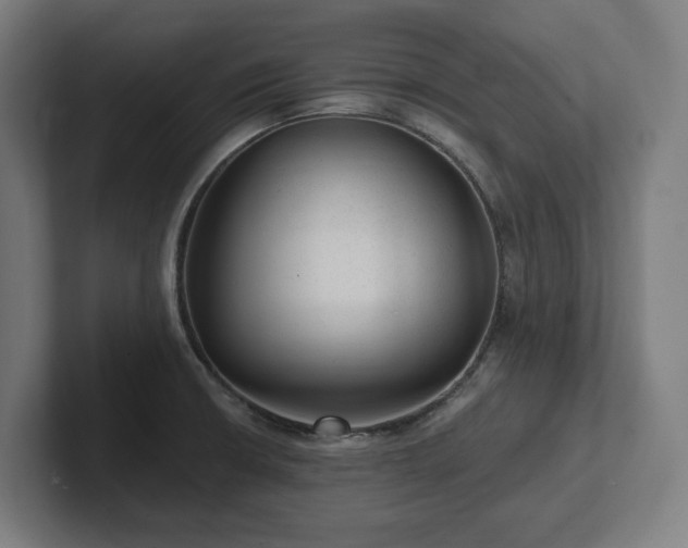 X0000102311426200808011414