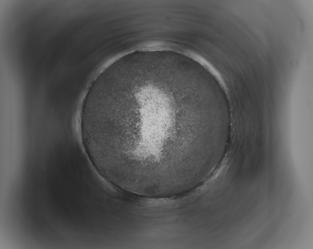 X0000102311429200808011414