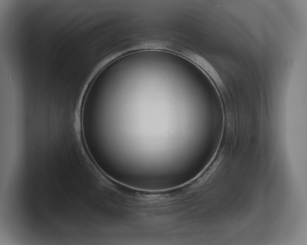 X0000102311436200808011414