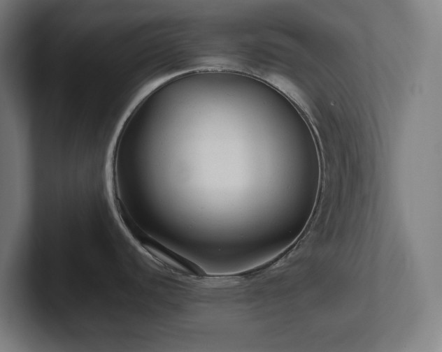 X0000102311440200808011414