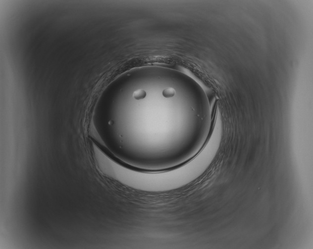 X0000102311441200808011413