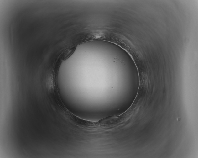 X0000102311442200808011413