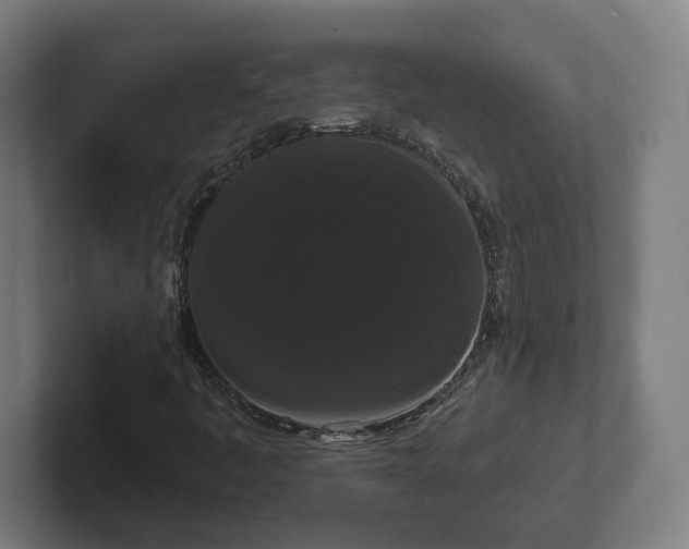 X0000102311445200808011413