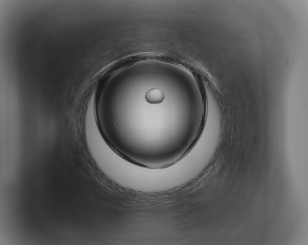 X0000102311448200808011413