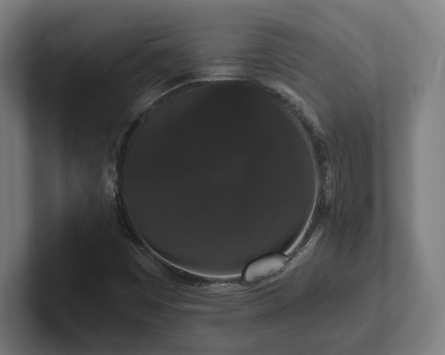 X0000102311449200808011413