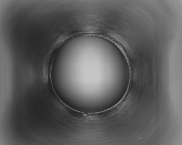 X0000102311451200808011413