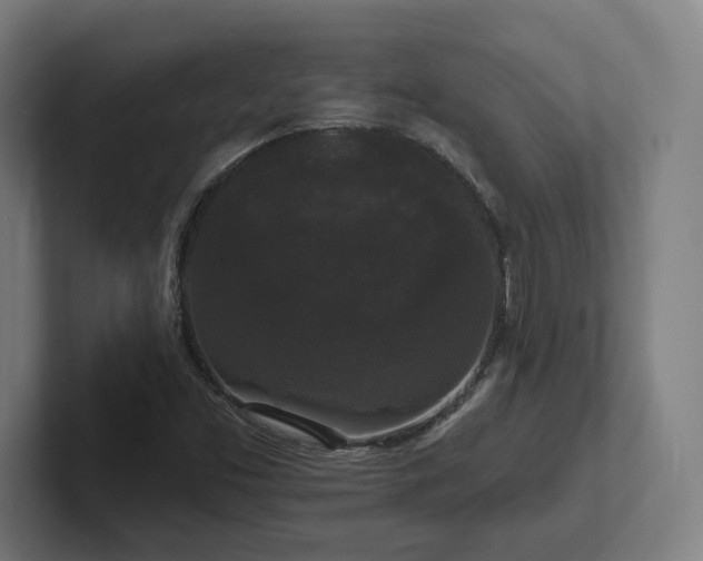 X0000102311453200808011413