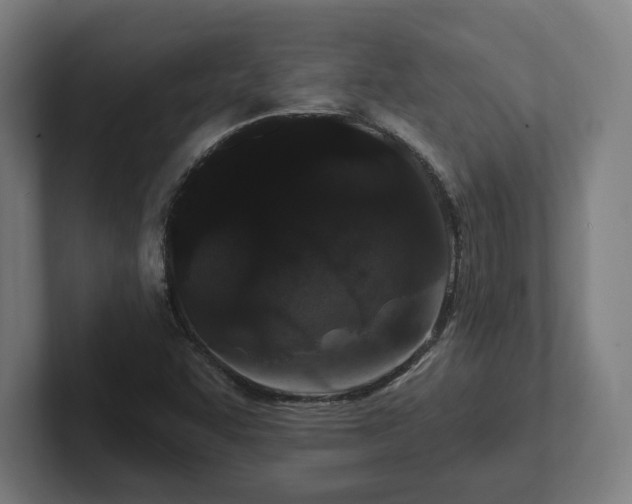 X0000102311455200808011413