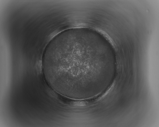 X0000102311457200808011413