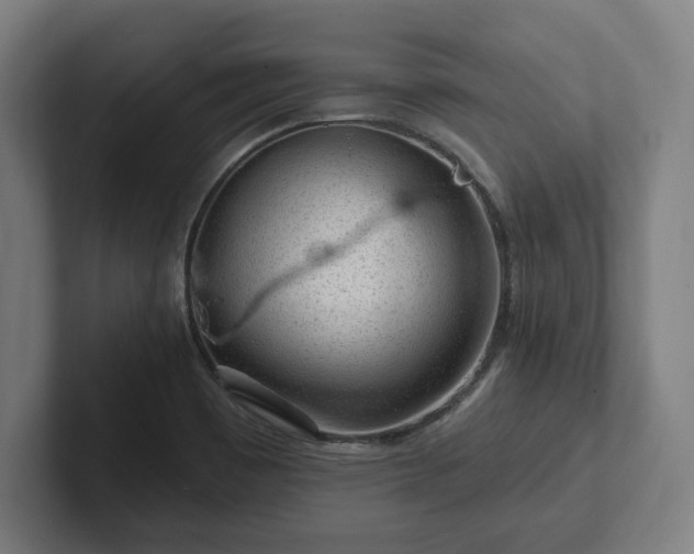 X0000102311465200808011413