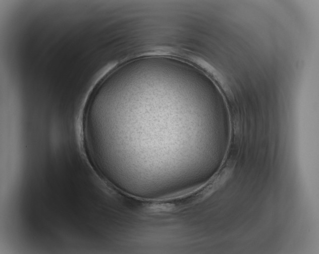 X0000102311466200808011413