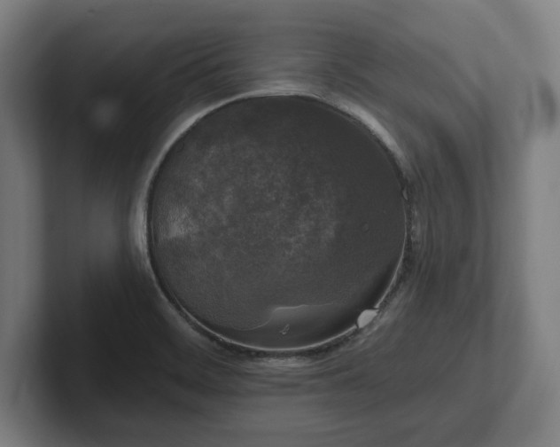 X0000102311468200808011413