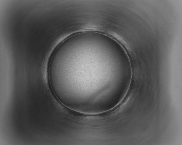 X0000102311469200808011413