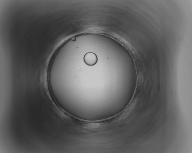 X0000102311470200808011413