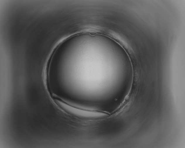 X0000102311471200808011413