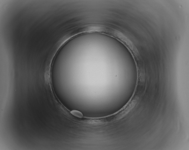 X0000102311473200808011413