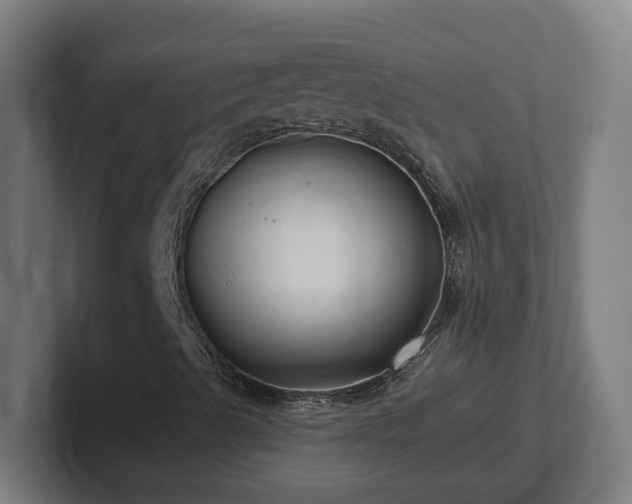 X0000102311489200808011412