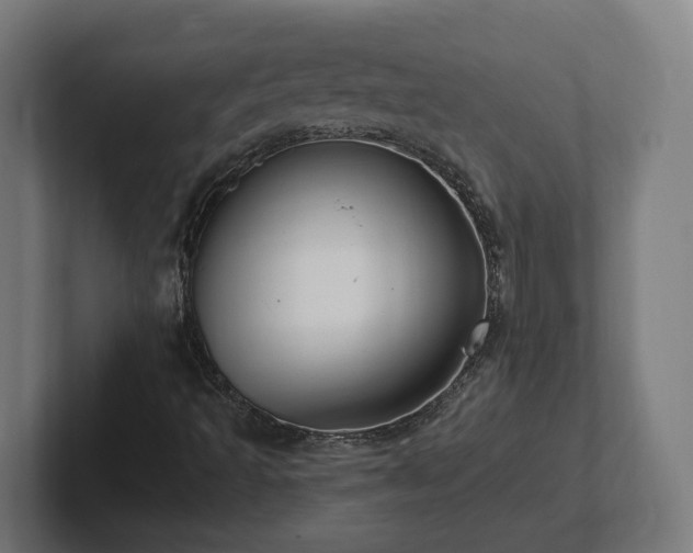 X0000102311493200808011412