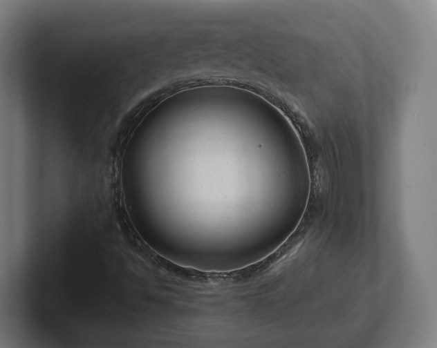 X0000102311494200808011412