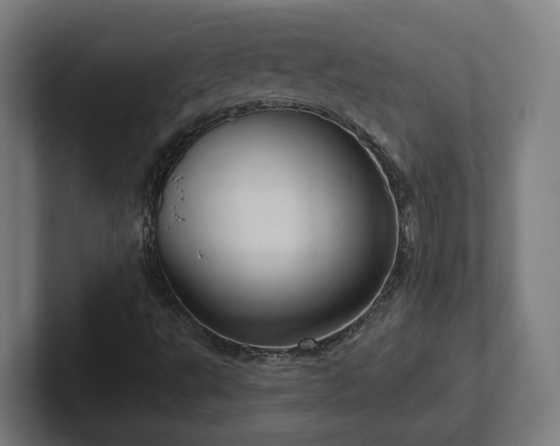 X0000102311495200808011412