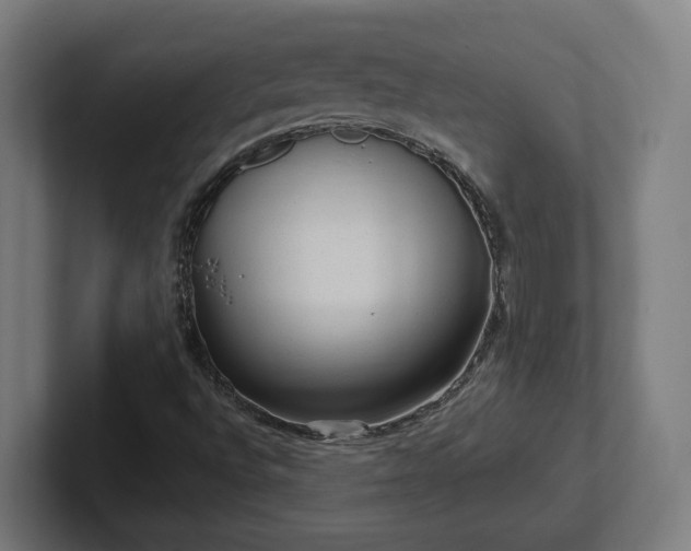 X0000102311496200808011412