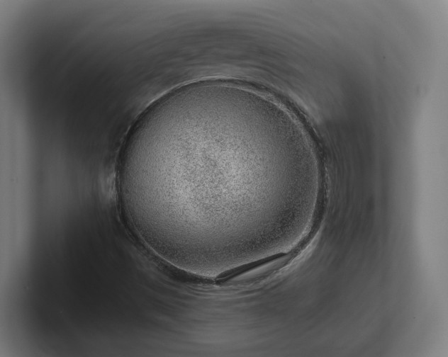 X0000102311497200808011412