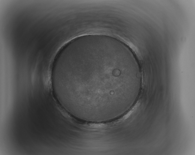 X0000102311498200808011412