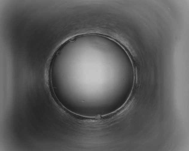 X0000102311500200808011412